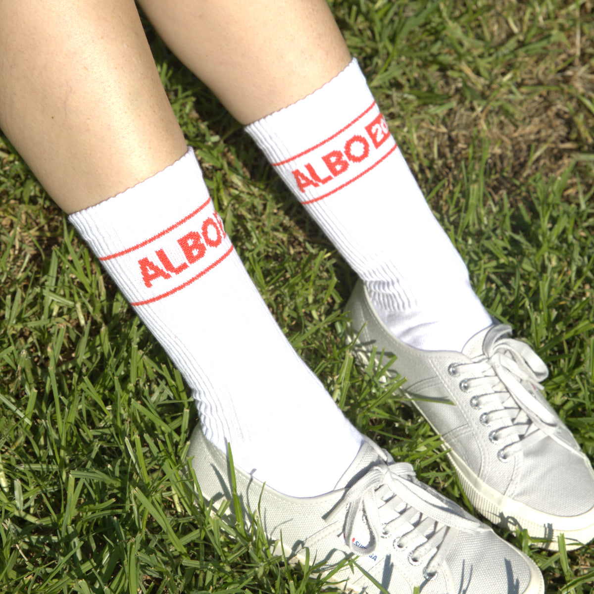Albo 2025 Sports Socks